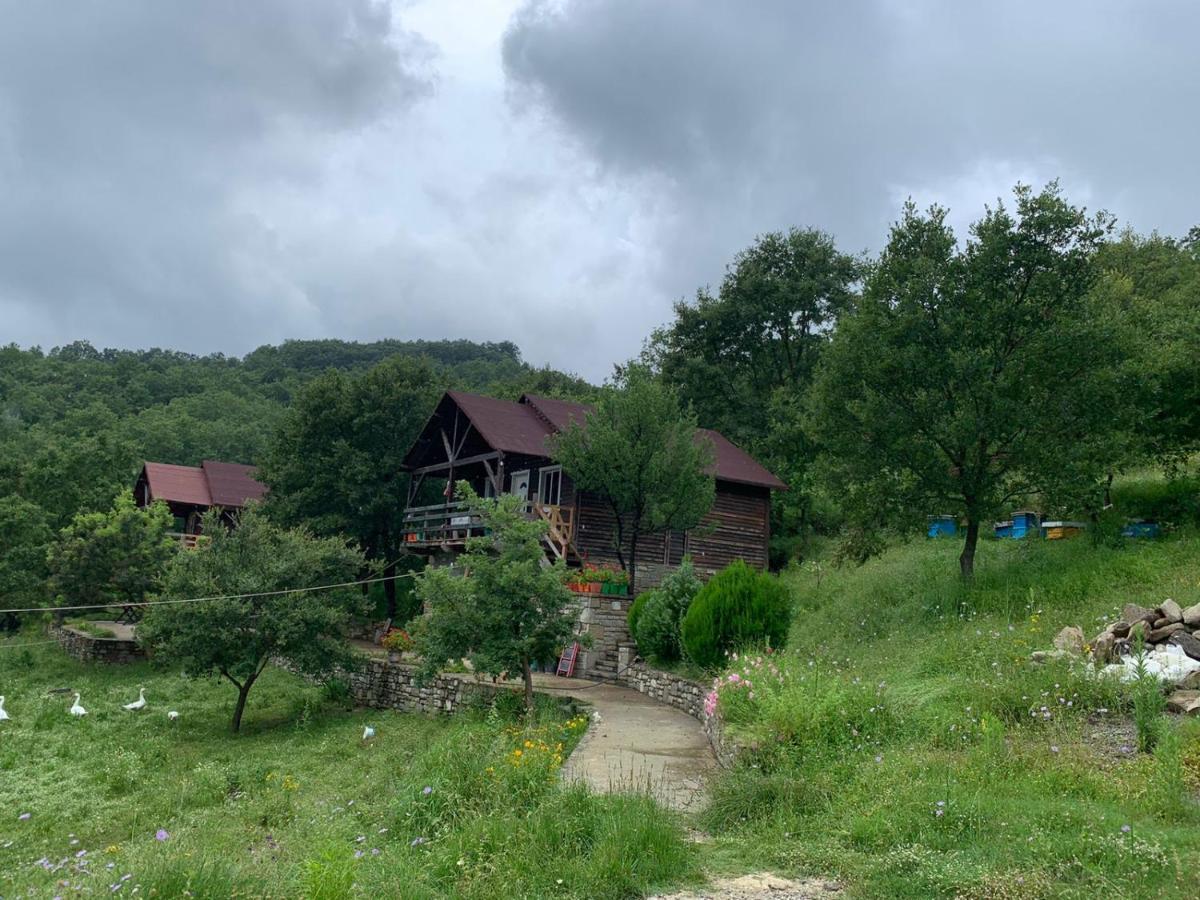 Origjina Farm Villa Përmet Eksteriør bilde