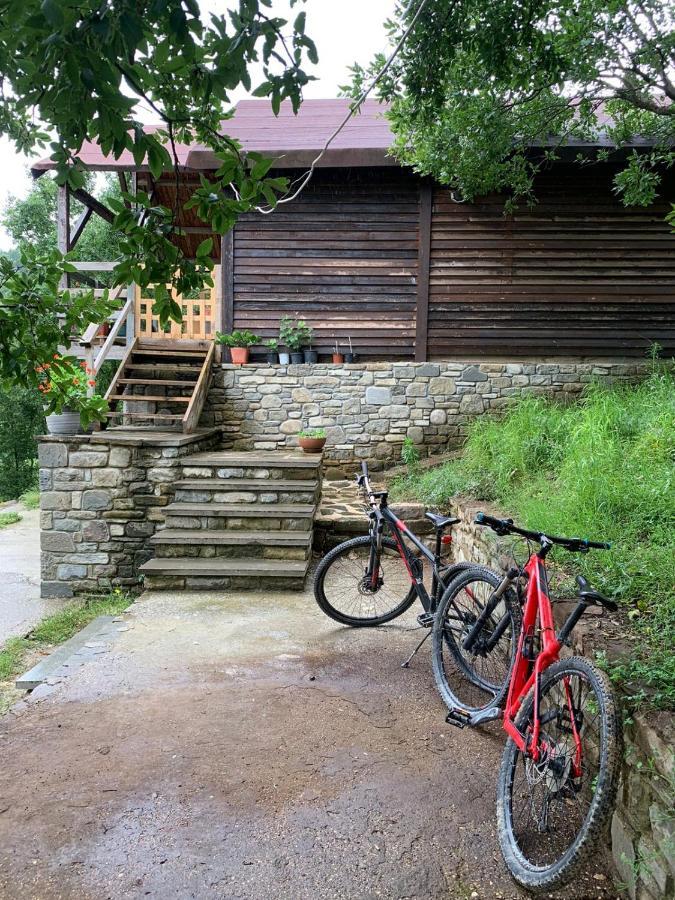Origjina Farm Villa Përmet Eksteriør bilde